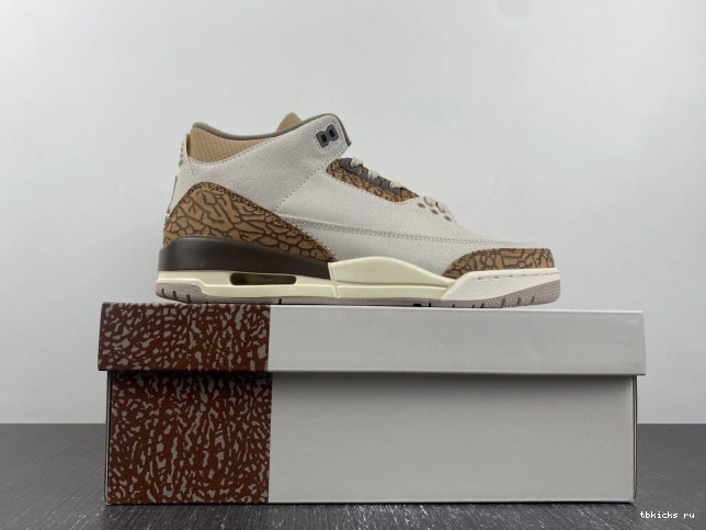 Reps TB Jordan 3 CT8532-102 Air Palomino 0724
